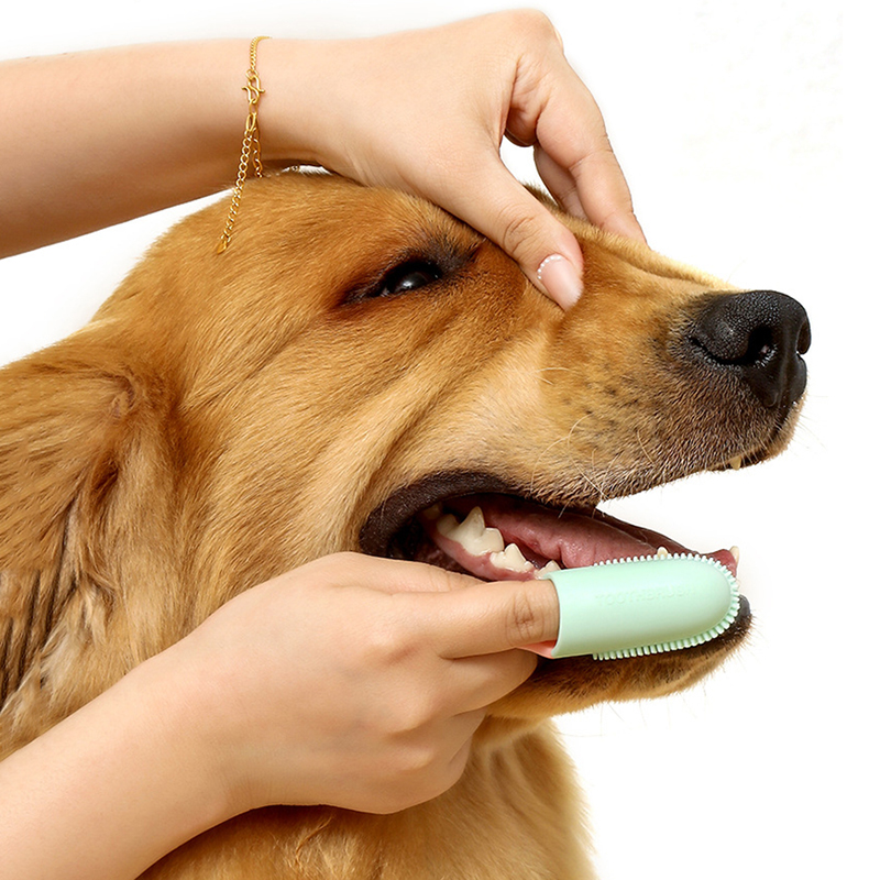 Pet Supplies Dog Food - Pet Dog Ultra Soft Finger Toothbrush,