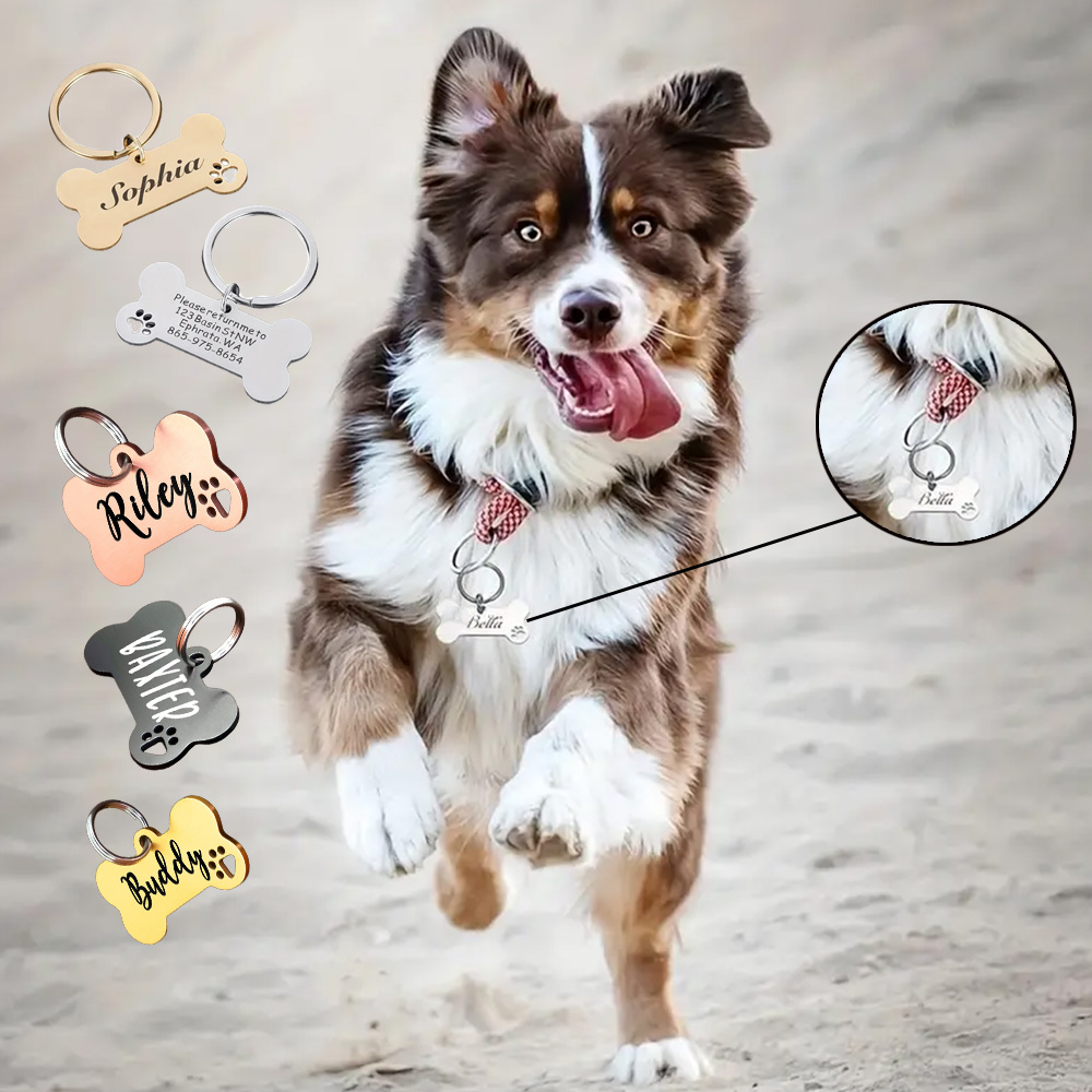 Pet Supplies Wholesale - Custom Stainless Steel Pet ID Plates