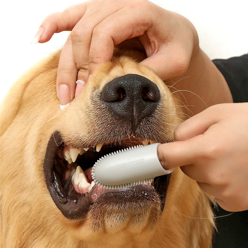 Pet Dog Ultra Soft Finger Toot - Pet Supplies Dog Food 评论和价格