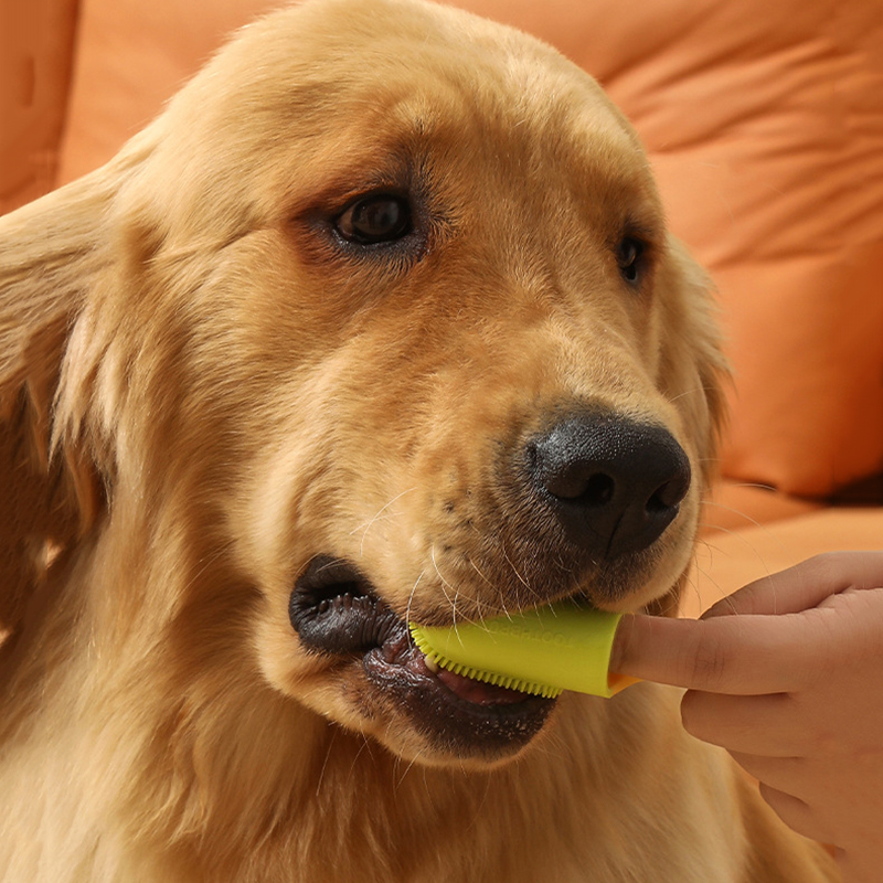 Pet Dog Ultra Soft Finger Toot - Pet Supplies Dog Food 评论和价格