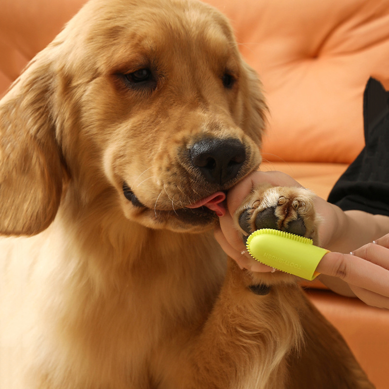 Pet Dog Ultra Soft Finger Toot - Pet Supplies Dog Food 评论和价格