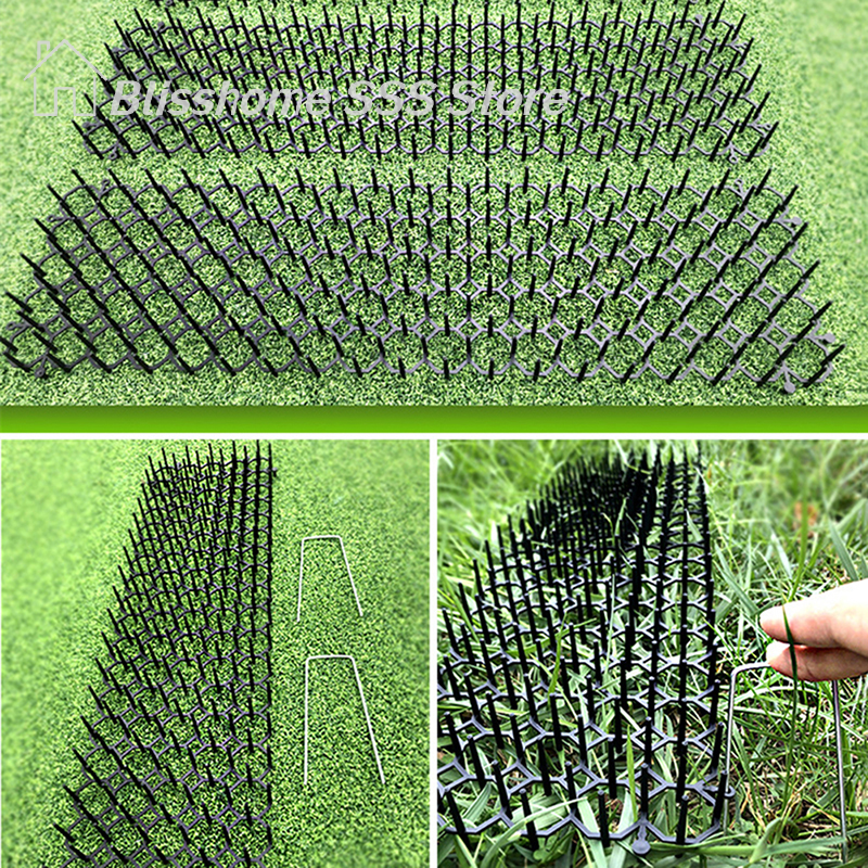 【S】Garden Cat Scat Mat Anti Ca - Pet Supplies Warehouse 评论和价格