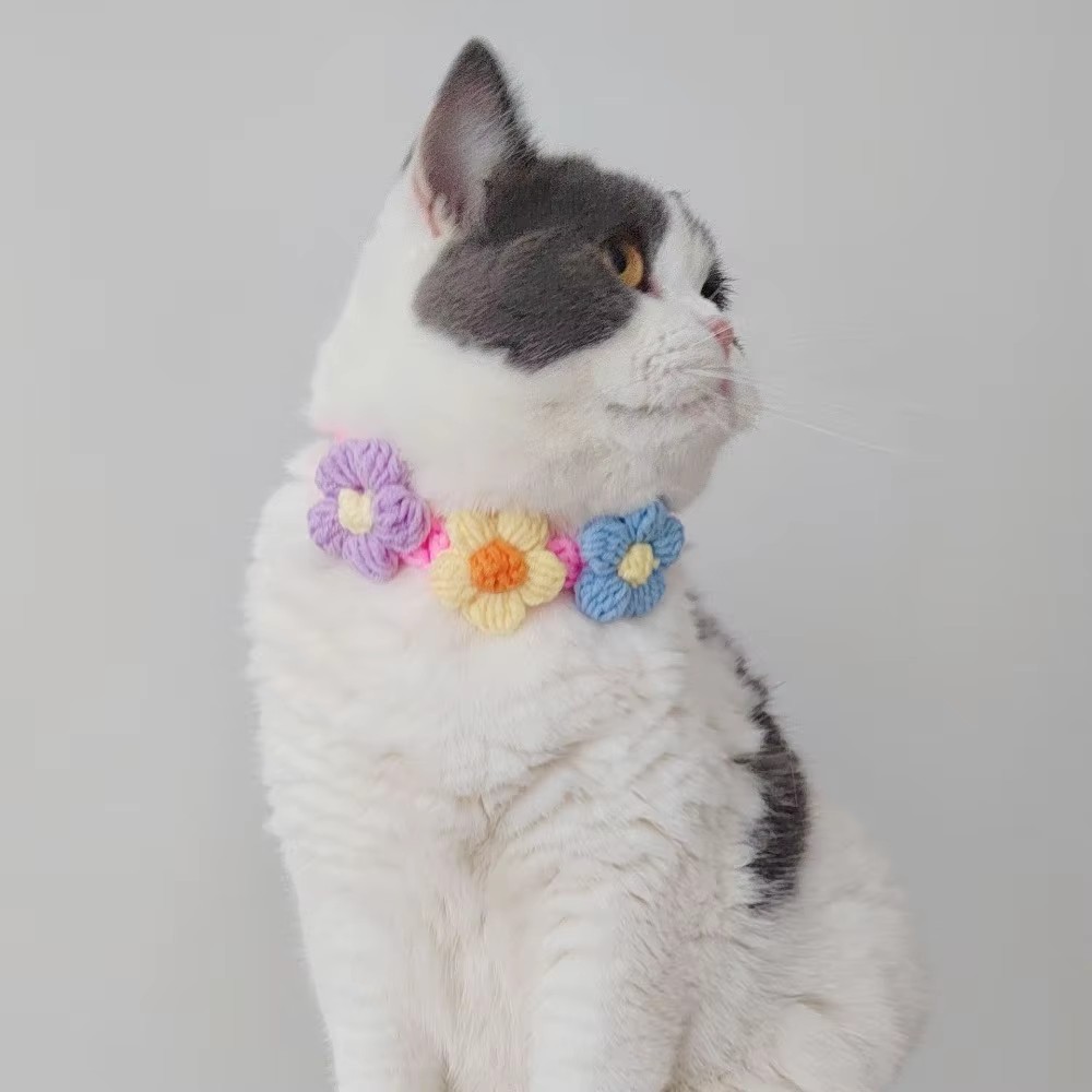 Pet Collar Cat Knitting Collar - Pet Supplies Hours 评论和价格