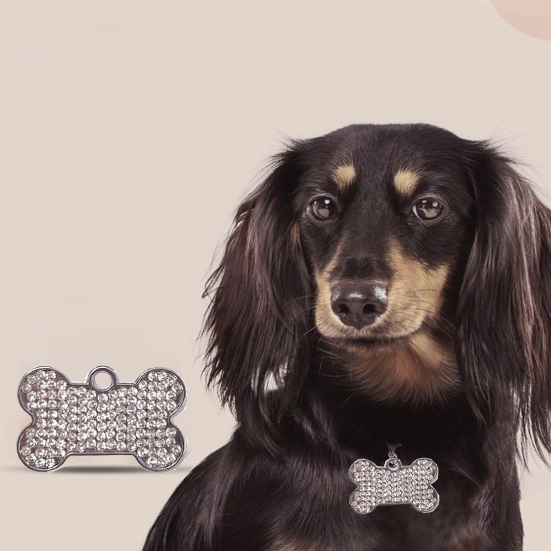 New Bone Dog Tags Can Be Laser - Pet Supplies Wholesale 评论和价格