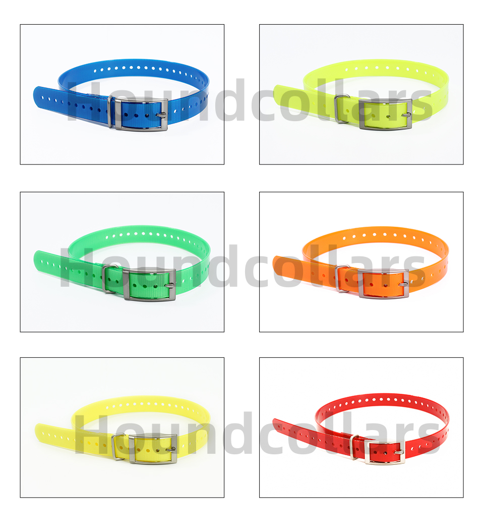 Nylon Dog Collar Adjustable  P - Pet Supplies Hours 评论和价格