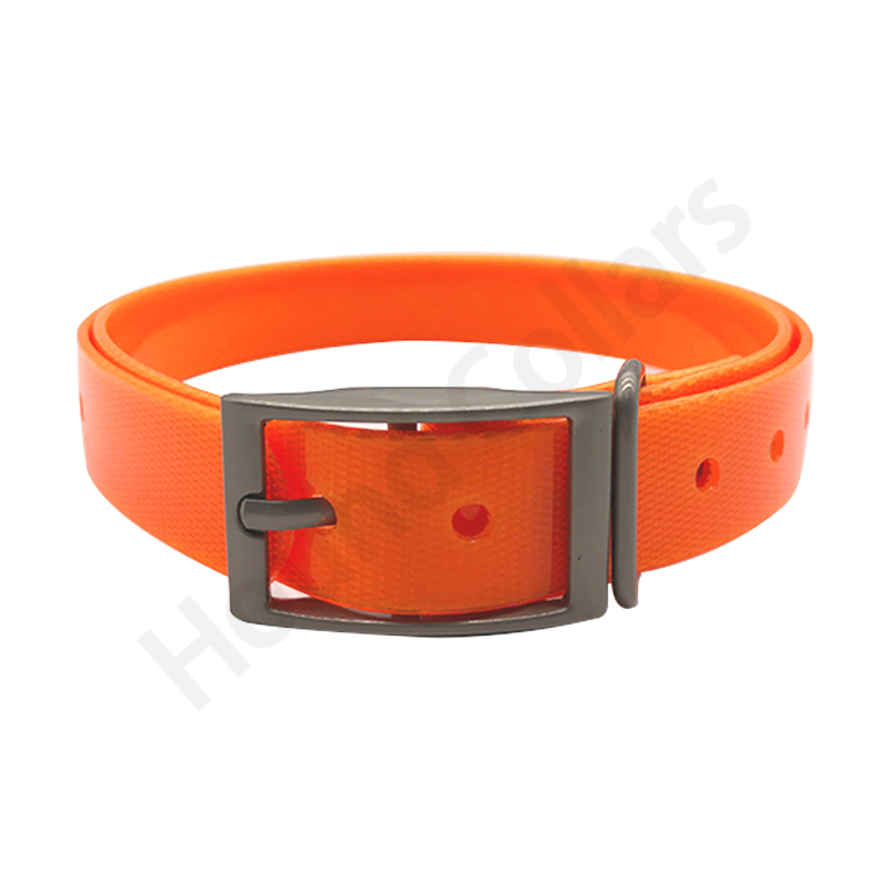 Nylon Dog Collar Adjustable  P - Pet Supplies Hours 评论和价格
