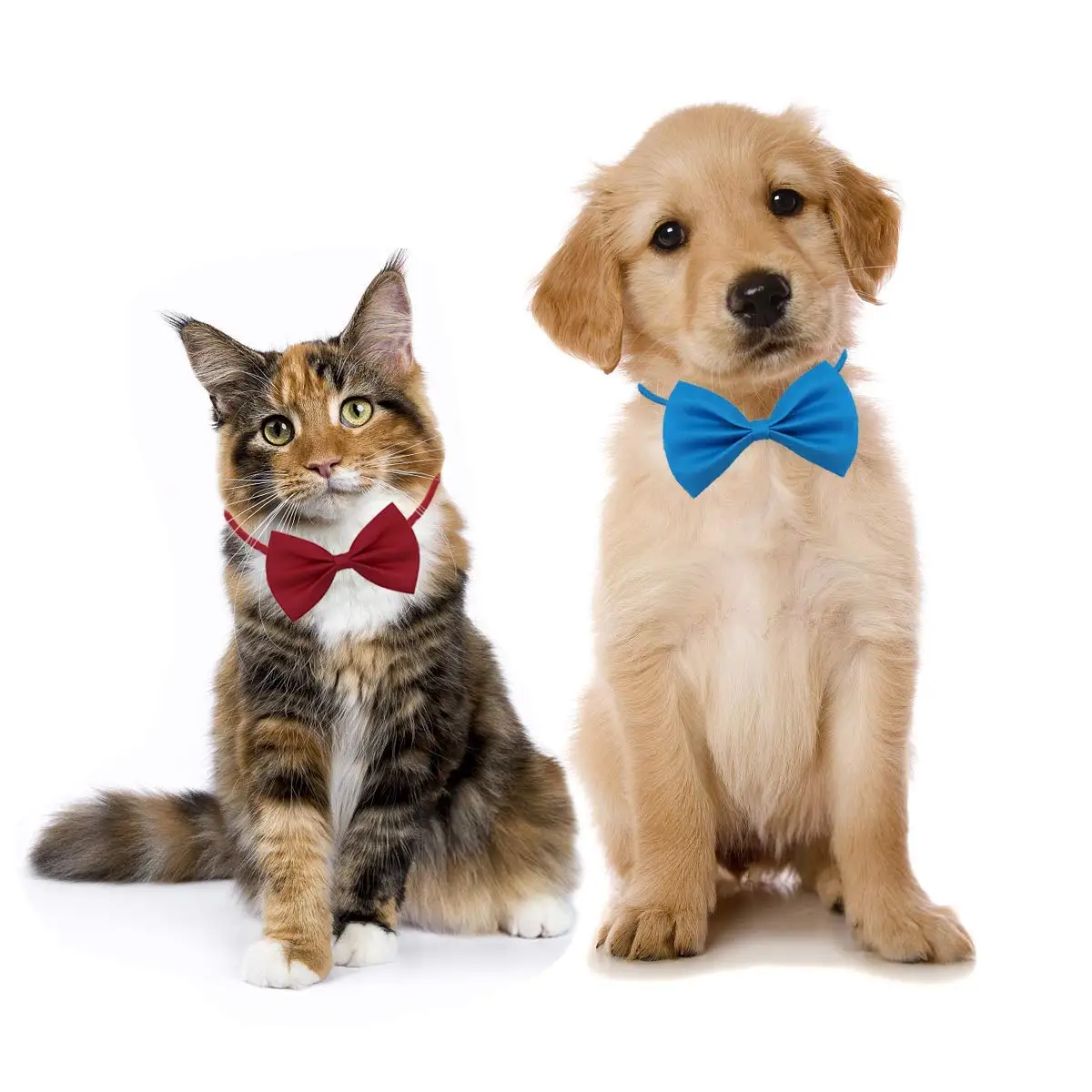 50/100pcs Dog Bows Mix Colors  - Pet Supplies Wholesale 评论和价格