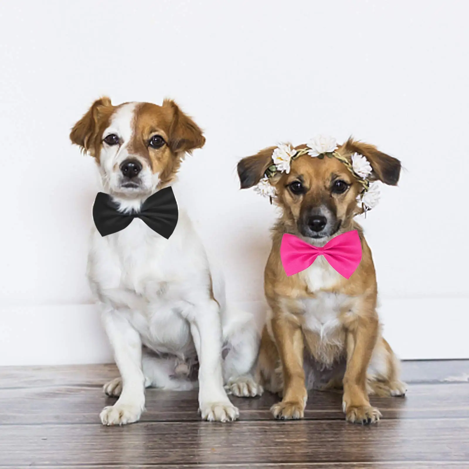 50/100pcs Dog Bows Mix Colors  - Pet Supplies Wholesale 评论和价格