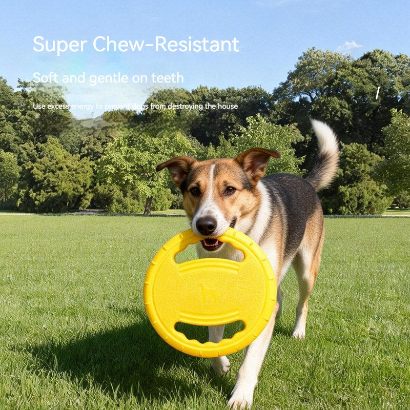 EVA Dog Flying Disc Handle Bit - Pet Supplies Wholesale 评论和价格