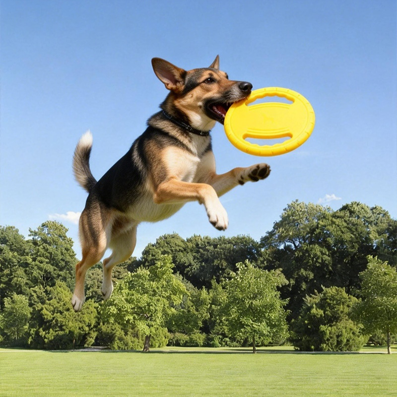 EVA Dog Flying Disc Handle Bit - Pet Supplies Wholesale 评论和价格