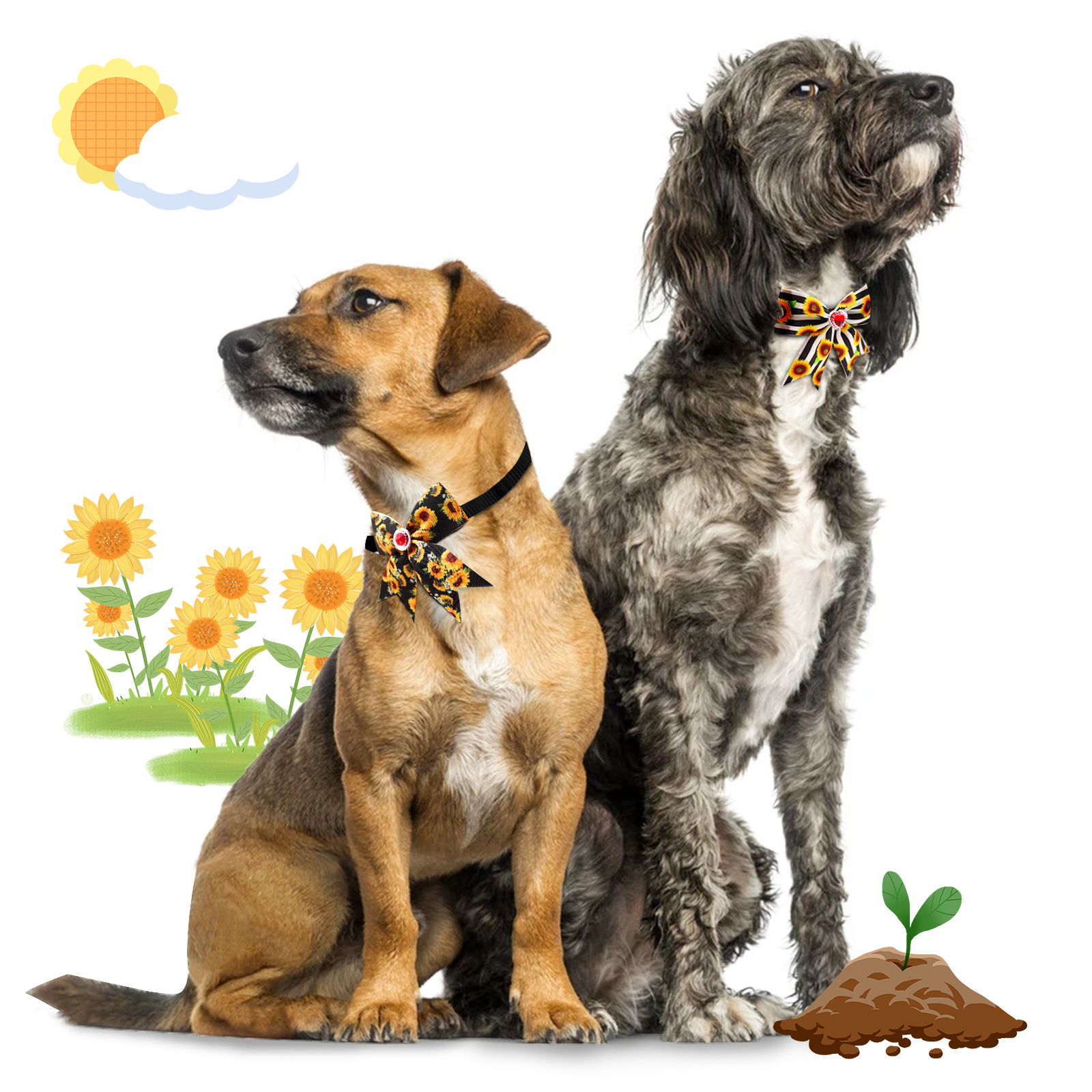 50/100pcs  Dog Grooming  Small - Pet Supplies Hours 评论和价格