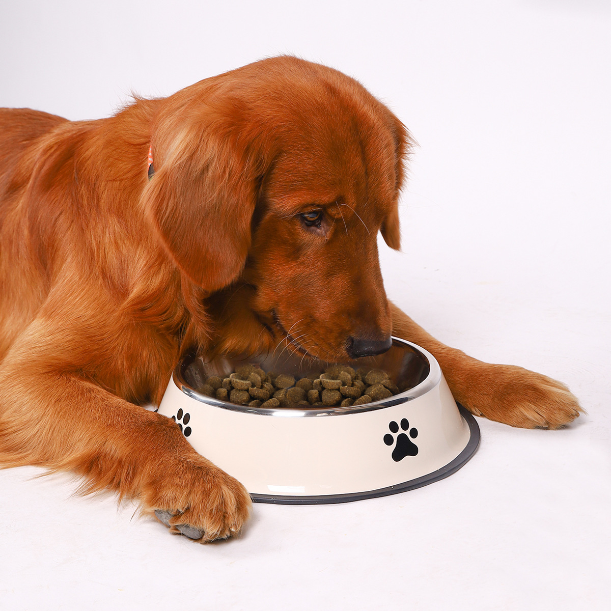 Stainless steel large capacity - Pet Supplies Dog Food 评论和价格