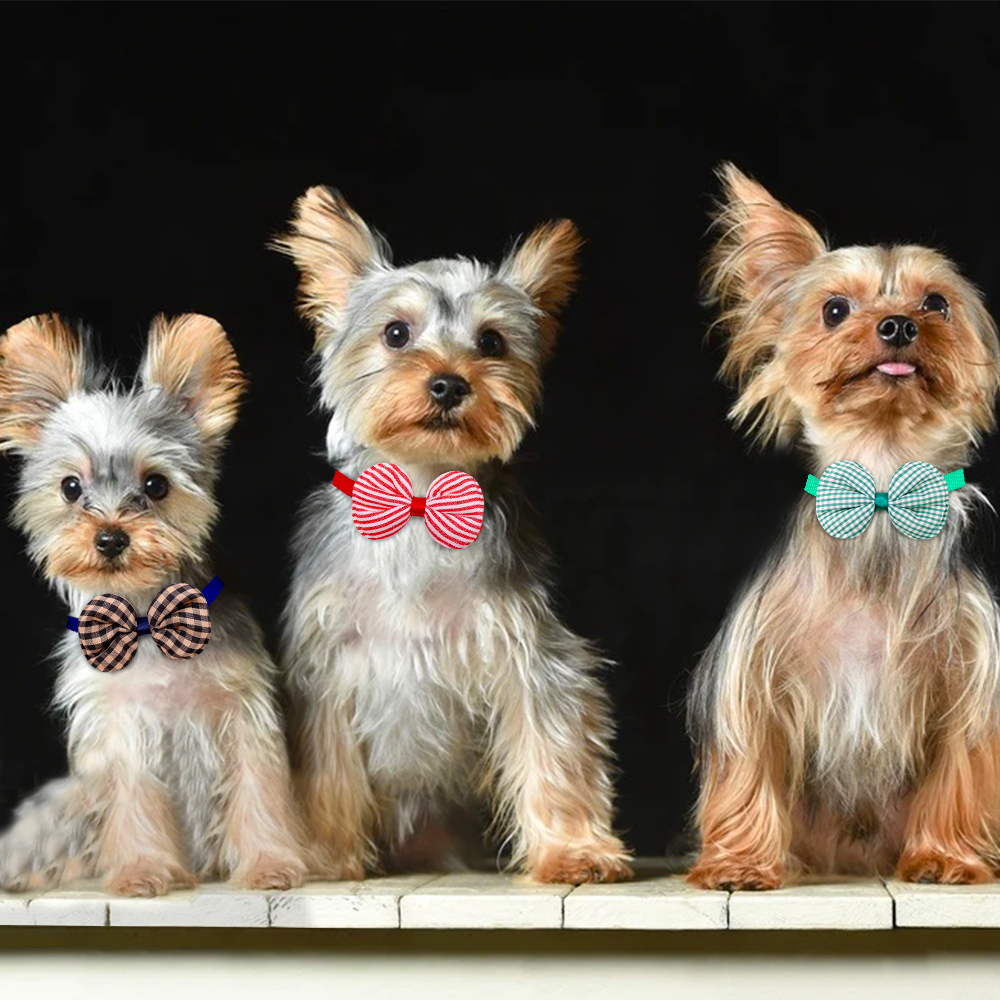 50/100pcs Small Dog Cat Bow Ti - Pet Supplies Hours 评论和价格