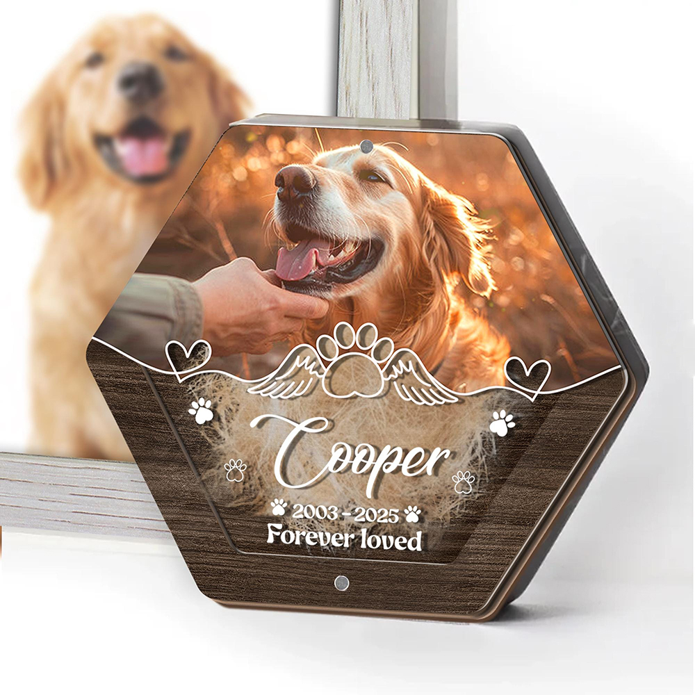 Personalized Name Wooden Carvi - Pet Supplies Warehouse 评论和价格