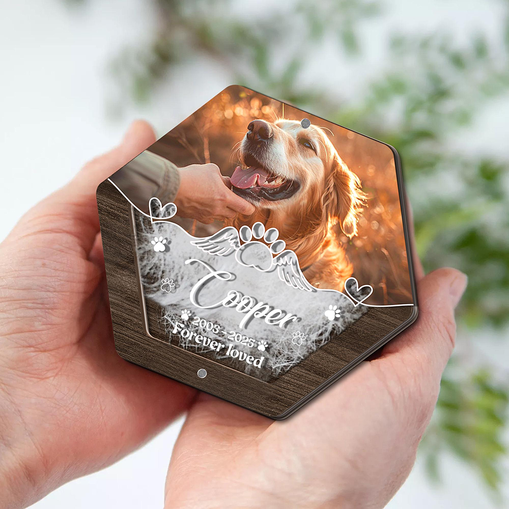 Personalized Name Wooden Carvi - Pet Supplies Warehouse 评论和价格