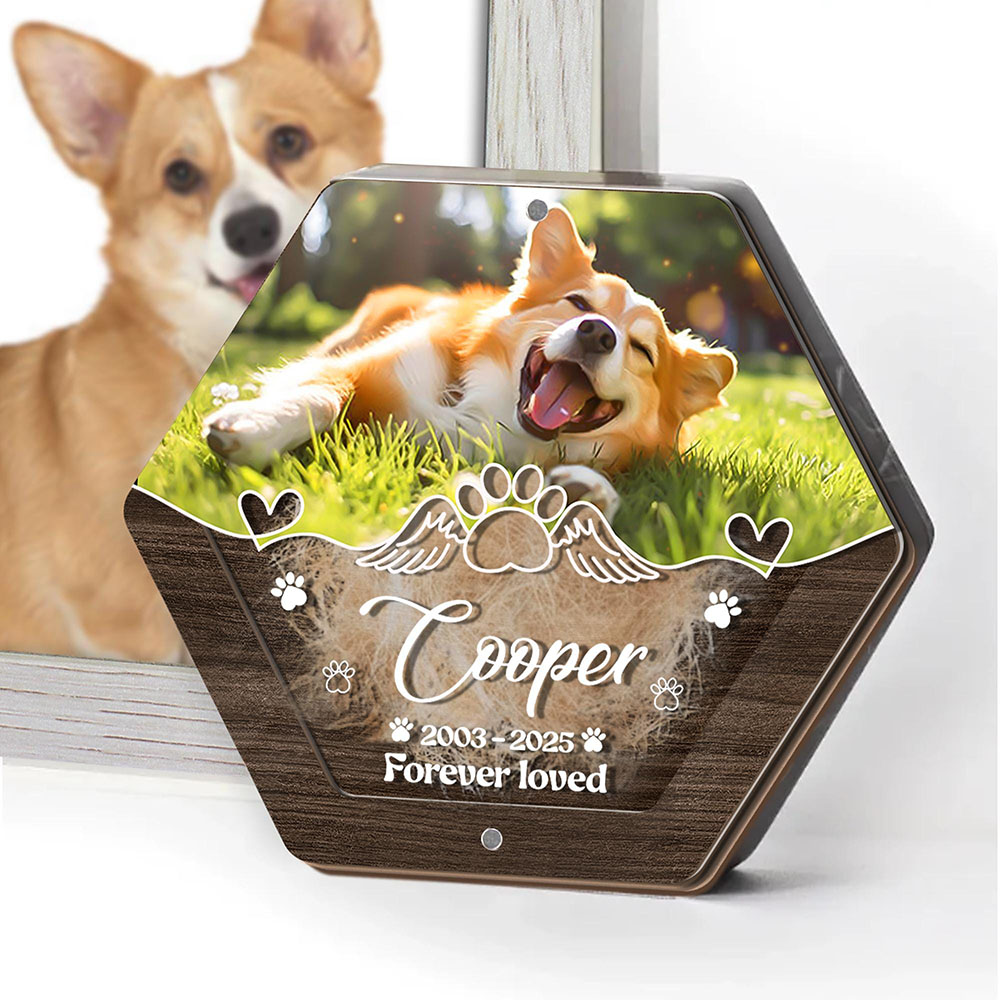 Personalized Name Wooden Carvi - Pet Supplies Warehouse 评论和价格