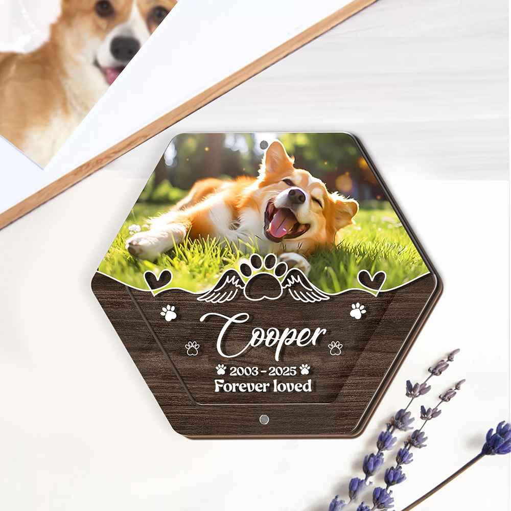 Personalized Name Wooden Carvi - Pet Supplies Warehouse 评论和价格