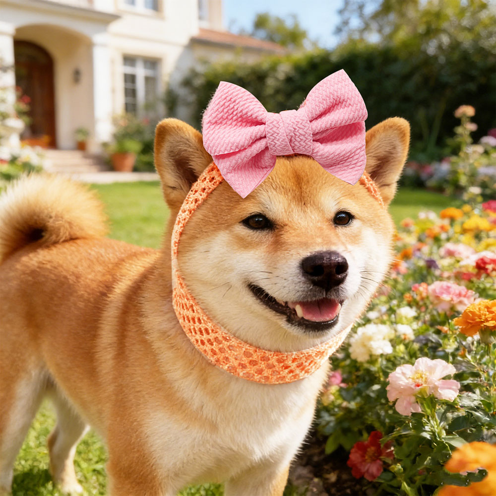 50PCS Dog Bows Elastic Bands C - Pet Supplies Wholesale 评论和价格