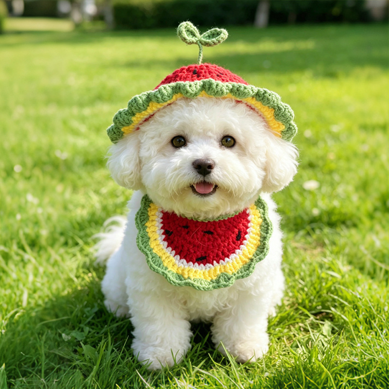 Kitty Neck Bibs Hats Set Pet O - Pet Supplies Wholesale 评论和价格