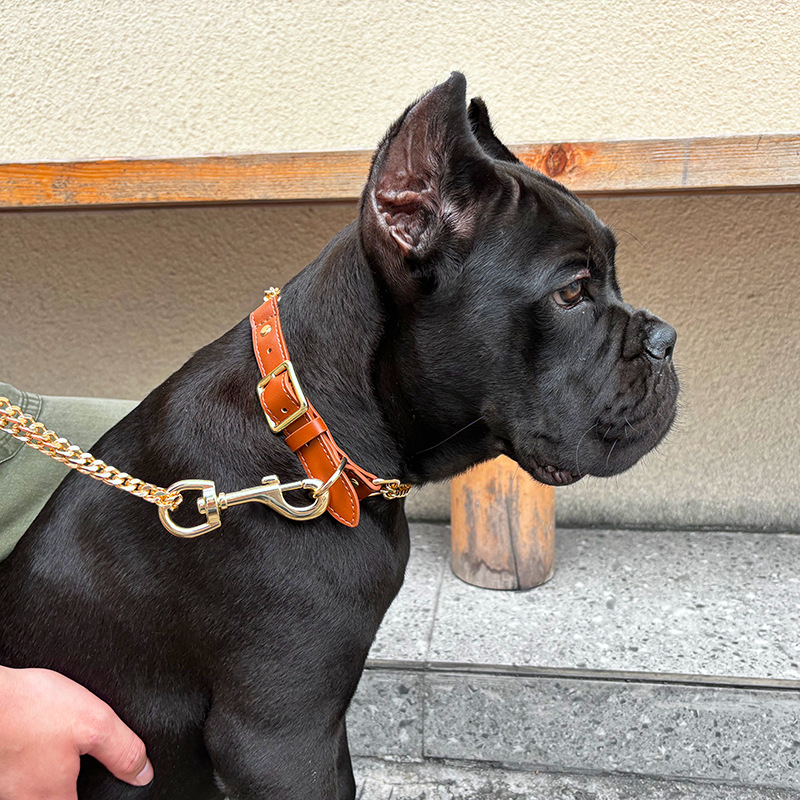 Loudik Wholesale Pet Collar Le - Pet Supplies Wholesale 评论和价格