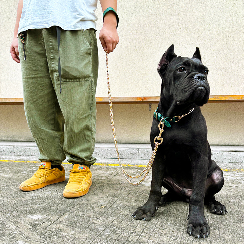 Loudik Wholesale Pet Collar Le - Pet Supplies Wholesale 评论和价格