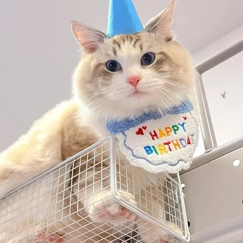 Cat Birthday Scarf Hat Set Dog - Pet Supplies Hours 评论和价格
