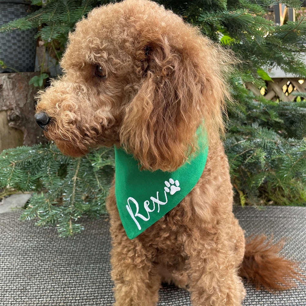 Personalized name Dog Christma - Pet Supplies Warehouse 评论和价格